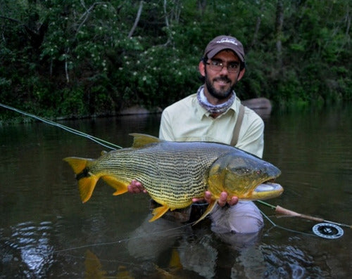 Combo De Pesca Con Mosca Caña Reel Tanza Estuche Moscas Kit