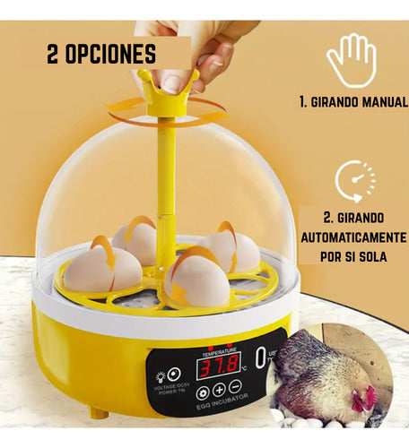 Incubadora Para Huevos De Gallina - Codorniz Y Otras Aves