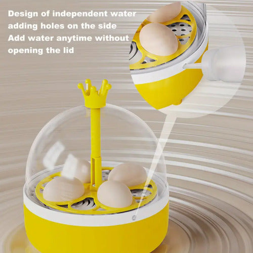 Incubadora Para Huevos De Gallina - Codorniz Y Otras Aves