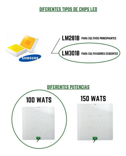 Quantum Board Led De Cultivo Floración Y Vegetación Indoor