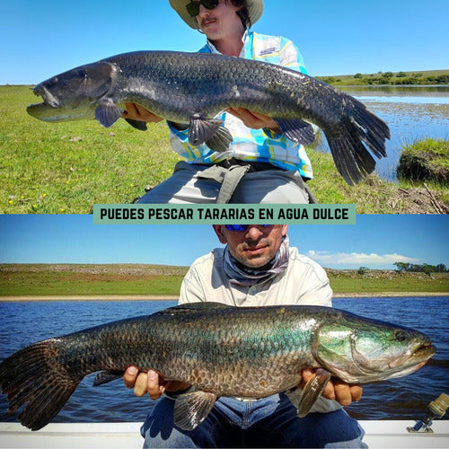 Combo De Pesca Con Caña Reel Tanza Estuche Señuelos Anzuelos
