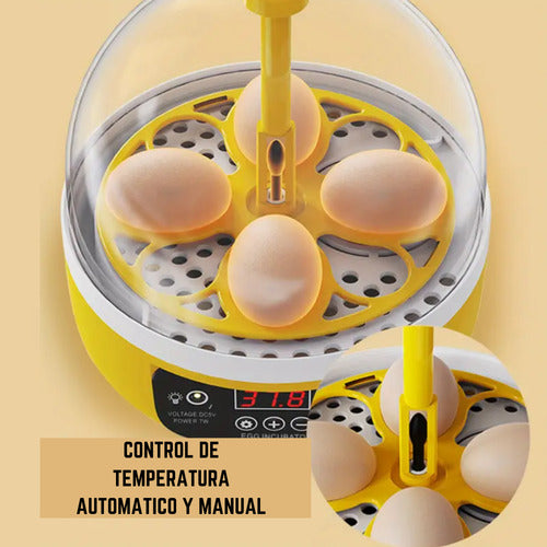Incubadora Para Huevos De Gallina - Codorniz Y Otras Aves