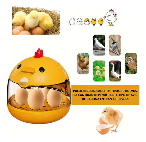Incubadora Para Huevos De Aves