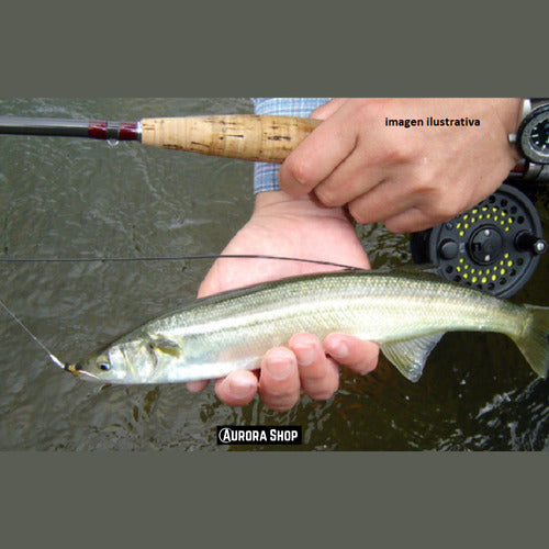 Combo De Pesca Con Mosca Caña Reel Tanza Estuche Moscas Kit