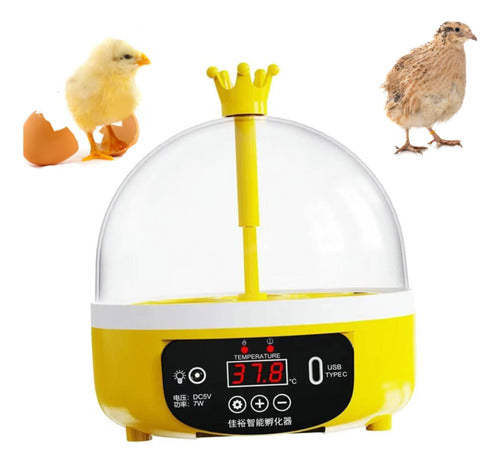 Incubadora Para Huevos De Gallina - Codorniz Y Otras Aves
