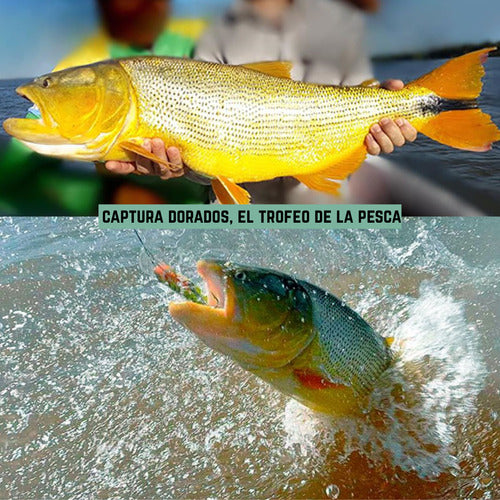 Combo De Pesca Con Caña Reel Tanza Estuche Señuelos Anzuelos