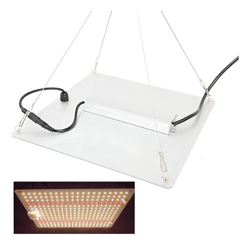Quantum Board Led De Cultivo Floración Y Vegetación Indoor Blanco Espectro Completo