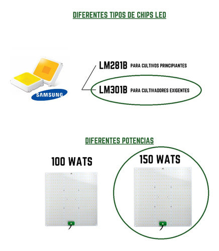 Quantum 150w Board Led De Cultivo Floración Y Vegetación Indoor