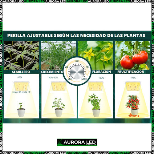 Quantum Board Led De Cultivo Floración Y Vegetación Indoor Blanco Espectro Completo
