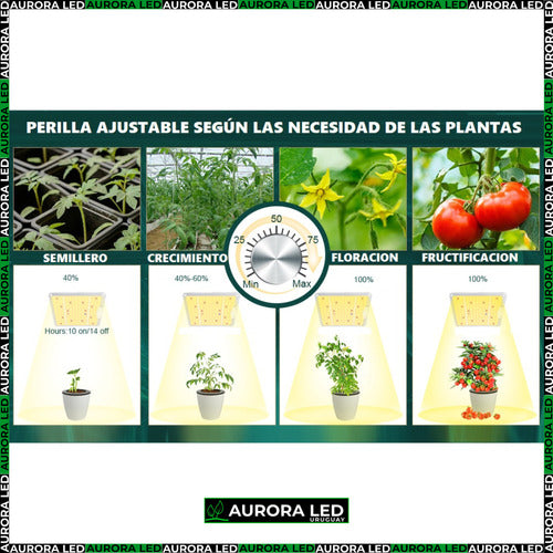 Quantum Board 100w Led De Cultivo Floración Y Vegetación Indoor