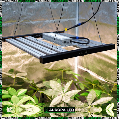 Panel 320 W Led Barras Lámpara Cultivo Indoor Aurora Led  3000k4000k660nm