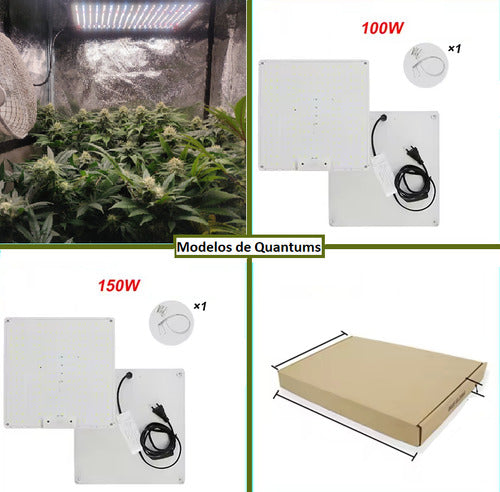 Quantum Board Led De Cultivo Floración Y Vegetación Indoor Blanco Espectro Completo