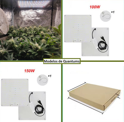 Quantum Board Led De Cultivo Floración Y Vegetación Indoor Blanco Espectro Completo