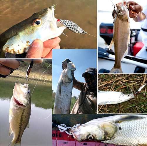 Kit Pesca Señuelos Cebos Varios Set De Agua Salda Y Dulce Varios