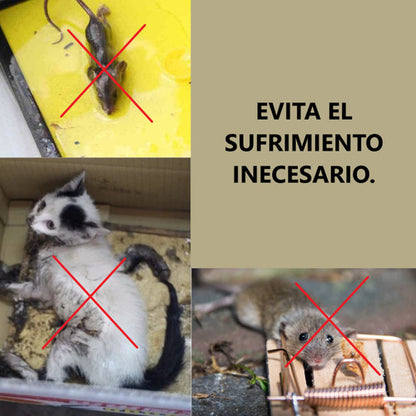 Trampa Para Ratones Ratas Automatica Vivos Sin Dolor  Entrada Multiple