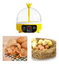 Incubadora Para Huevos De Gallina - Codorniz Y Otras Aves