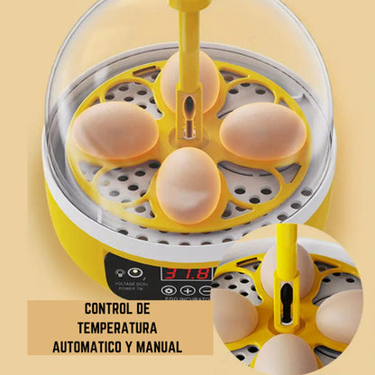 Incubadora Para Huevos De Gallina - Codorniz Y Otras Aves