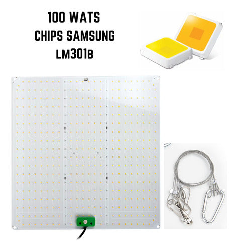 Quantum Board 100w Led De Cultivo Floración Y Vegetación Indoor